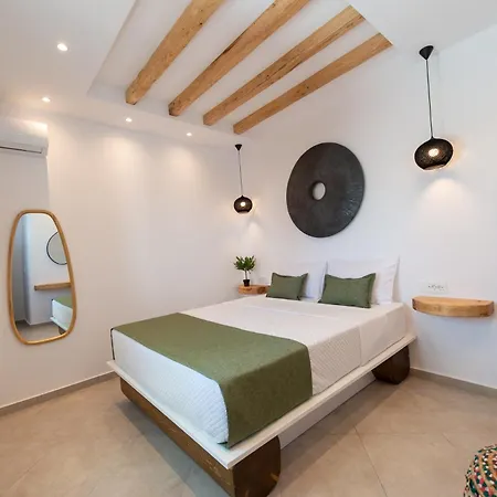 Villa Olive Grove Emporio (Santorini)