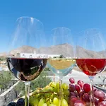Villa Olive Grove Emporio (Santorini)