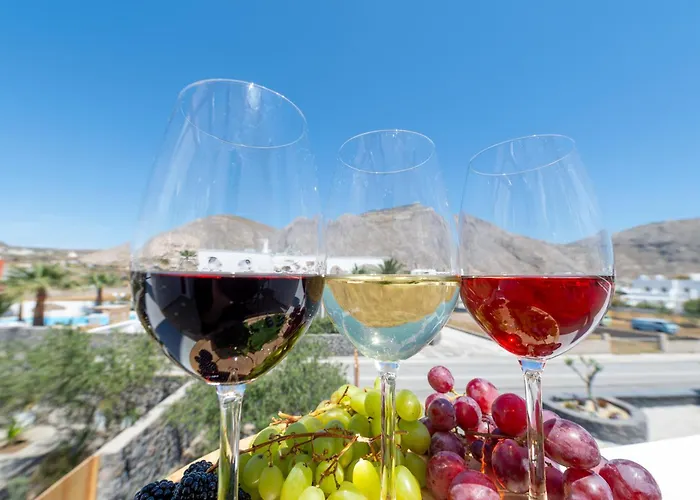 Villa Olive Grove Emporio (Santorini)