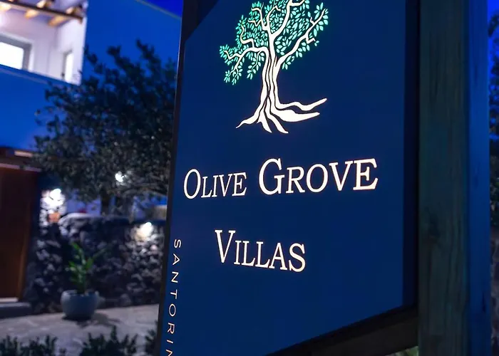 Olive Grove Villa Emporio (Santorini)