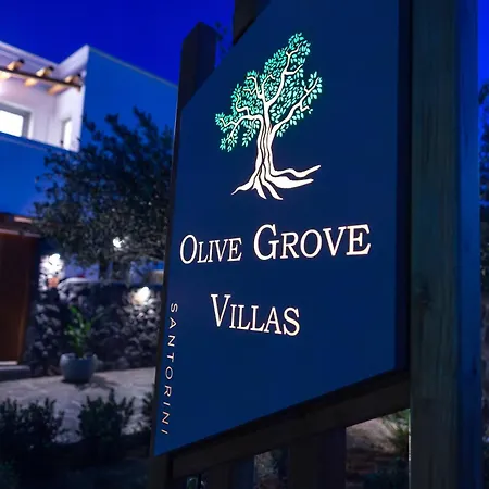 Olive Grove Villa Emborió